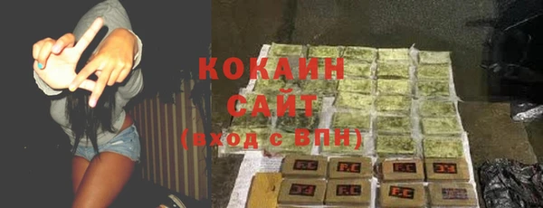 шишки Гусев