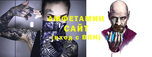 шишки Гусев