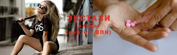 шишки Гусев