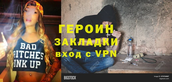 шишки Гусев