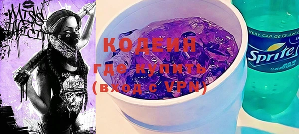 шишки Гусев