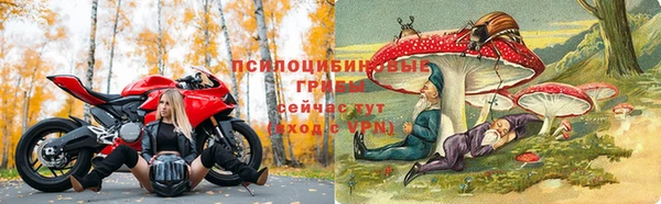 таблы Гусь-Хрустальный