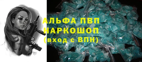 шишки Гусев