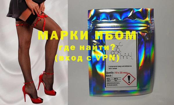 шишки Гусев