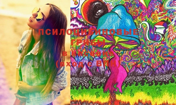 шишки Гусев
