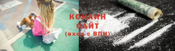 шишки Гусев