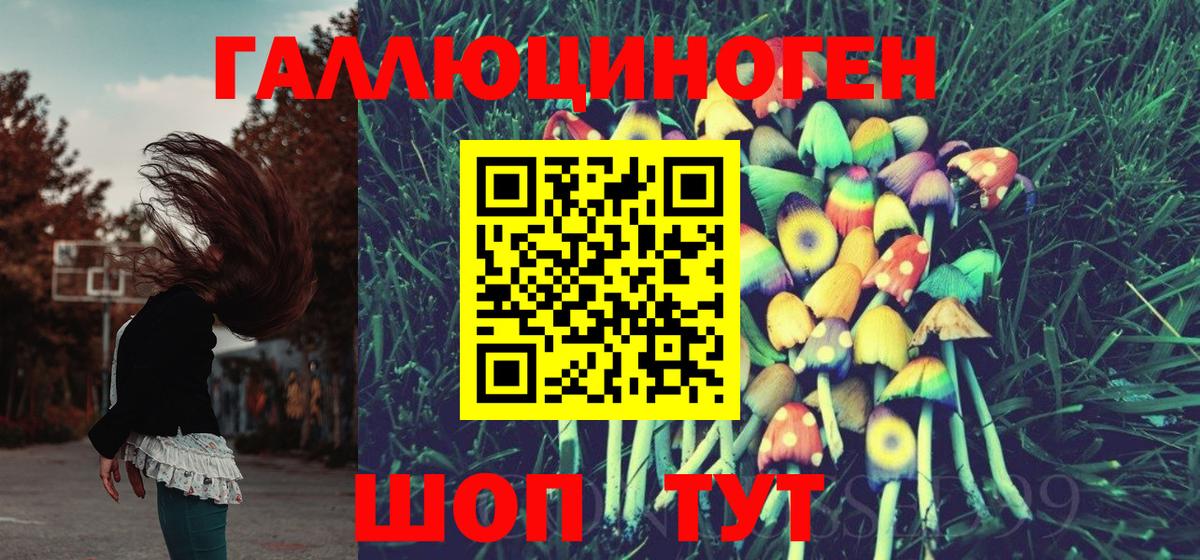 Галлюциногенные грибы MAGIC MUSHROOMS  Вход с VPN  где можно купить   Дагестанские Огни 